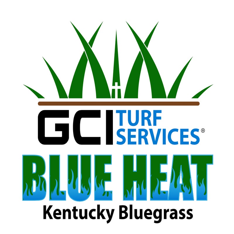 GCI Heat Tolerant Kentucky Blue Grass Seed (25 lb bag) HyR BRIX